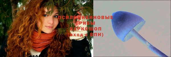 прущая мука Арсеньев