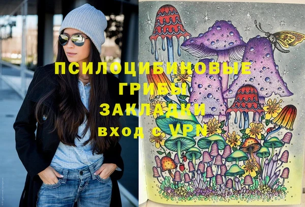 прущая мука Арсеньев