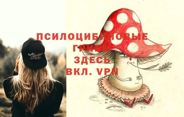 прущая мука Арсеньев