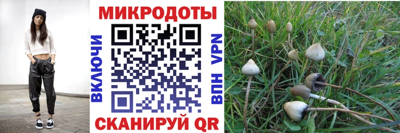 купить наркотики сайты  Бодайбо  Псилоцибиновые грибы мицелий 